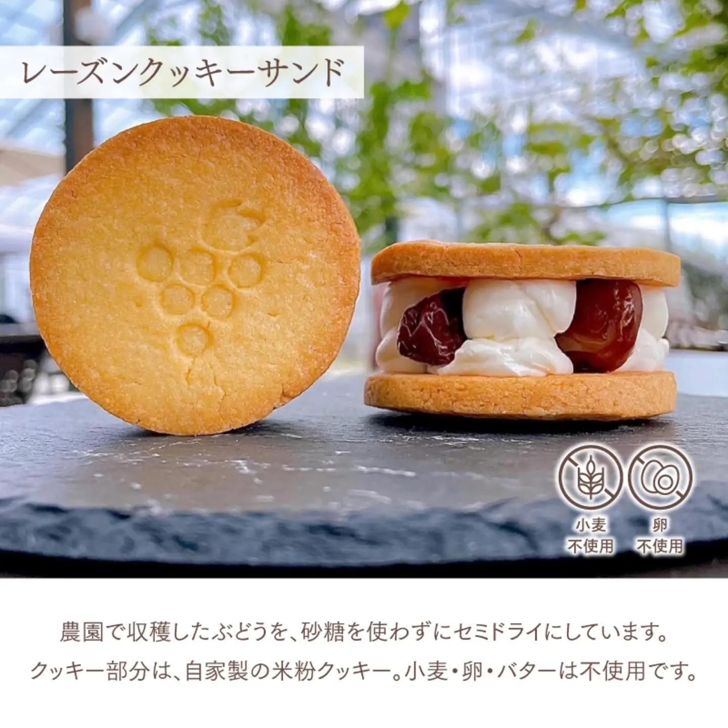 レーズンクッキーサンドとシフォンケーキのセット お菓子 スイーツ