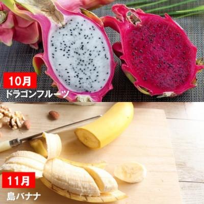 ふるさと納税 名護市 【発送月固定定期便】一番美味しい時期にお届け!旬の南国フルーツ定期便全6回 |  | 03