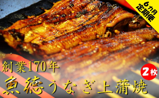 定期便 うなぎ 6回 蒲焼き 創業１７０年 鰻上蒲焼２枚セット 肝つき 山椒付き 鰻 冷蔵 真空パック 魚介 創業170年 魚徳 ６か月お届け お楽しみ