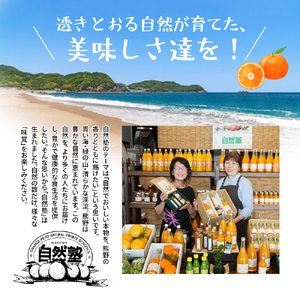 みかん 熟成温州みかん 約4.5㎏ 自然塾 みかん みかん みかん みかん みかん【szjk0002】