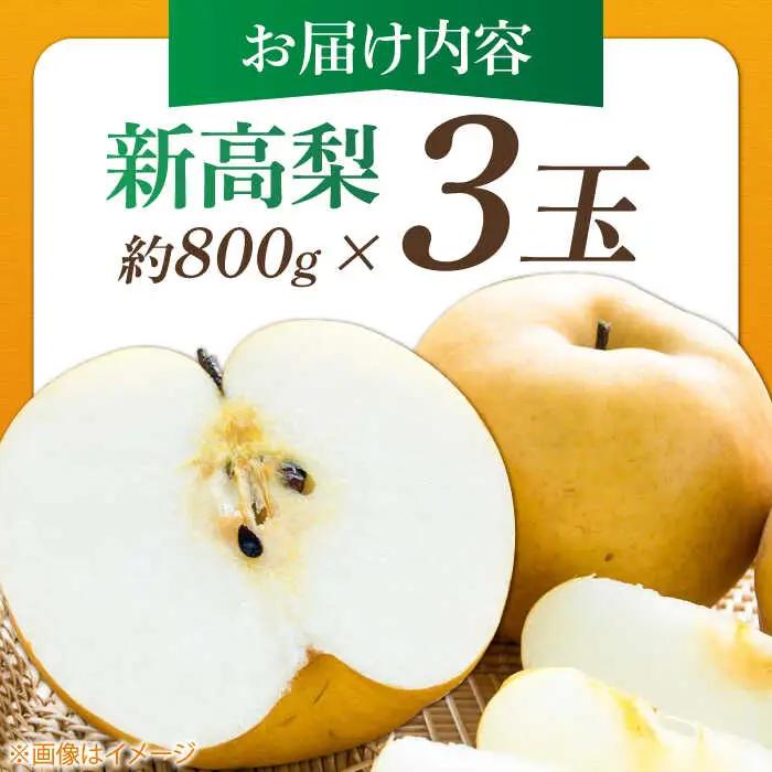 まるはり新高梨（約800g×3玉入） 〈2026年9月下旬?2026年10月上旬発送〉 / 新高梨 梨 果物 フルーツ デザート 【高知市農業協同組合】 [ATBK002]