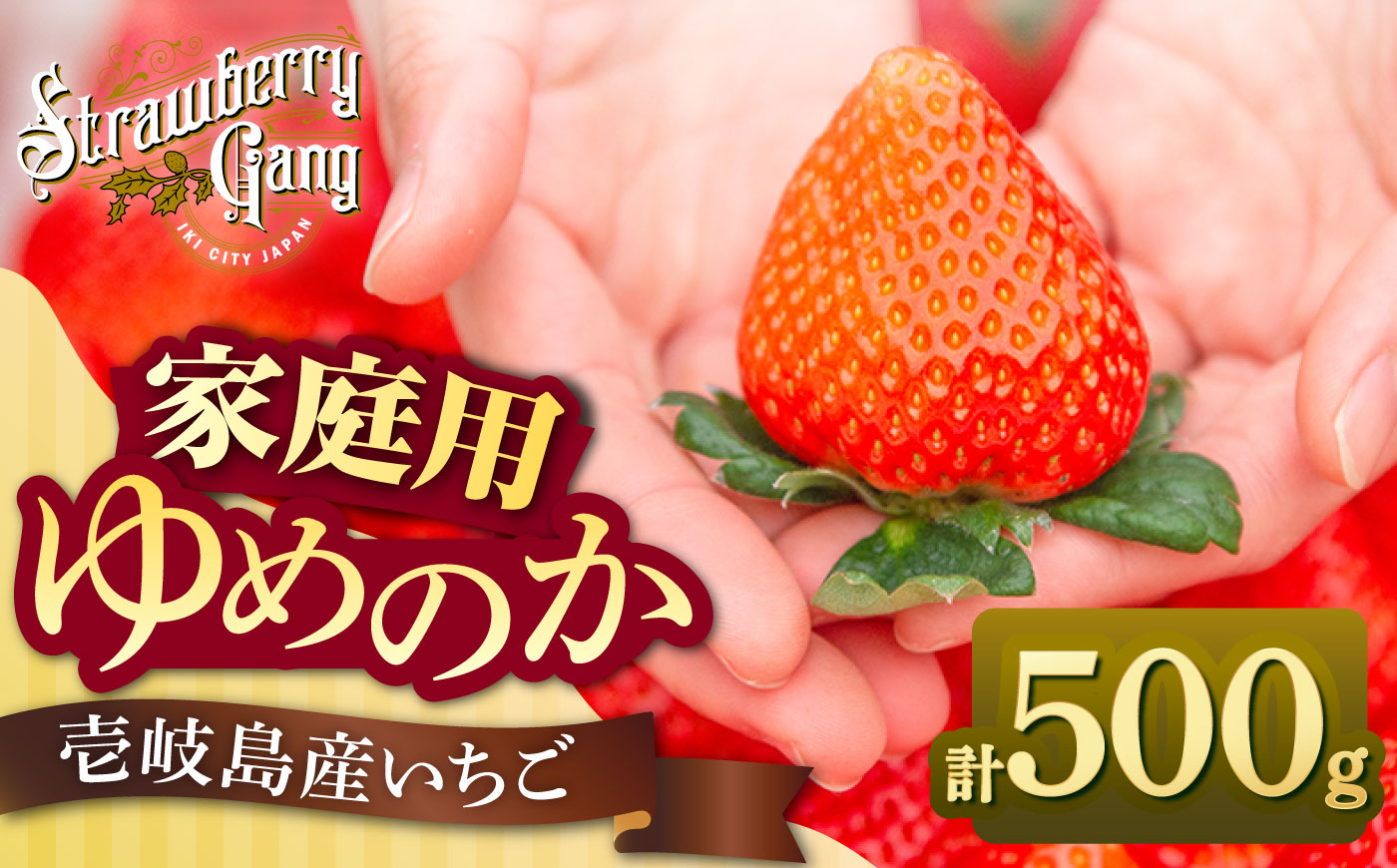 【訳あり/簡易包装】ゆめのか 約250g × 2パック 《壱岐市》【Strawberry Gang】[JEM006] セット いちご イチゴ 苺 果物 フルーツ スムージー 訳あり 8000 8000