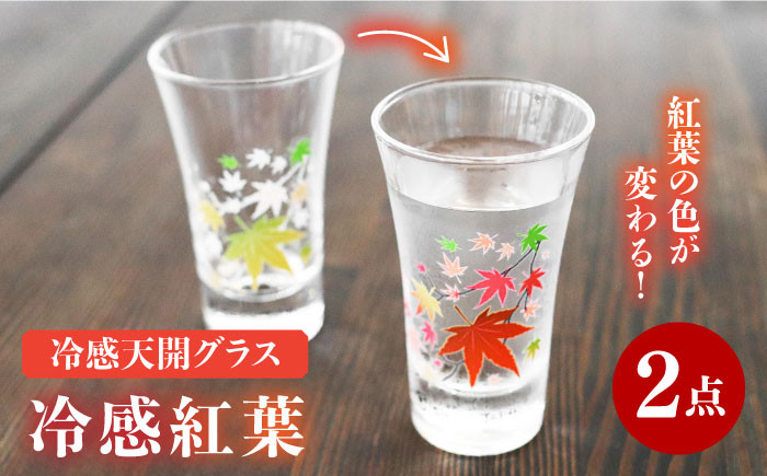 
                  【温度で変化する】 グラス天開ぺアセット 『冷感紅葉』【丸モ高木陶器】≪多治見市≫ コップ ビールグラス 食器 [TBA003]
                