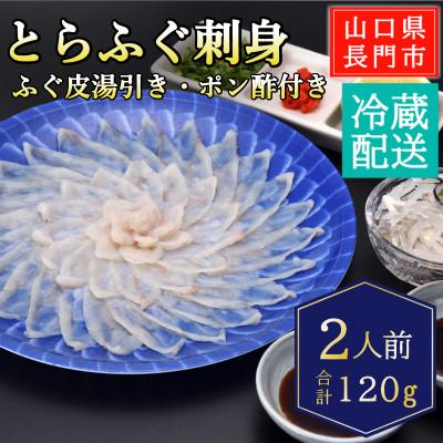 ふるさと納税 長門市 とらふぐ刺身2人前/冷蔵