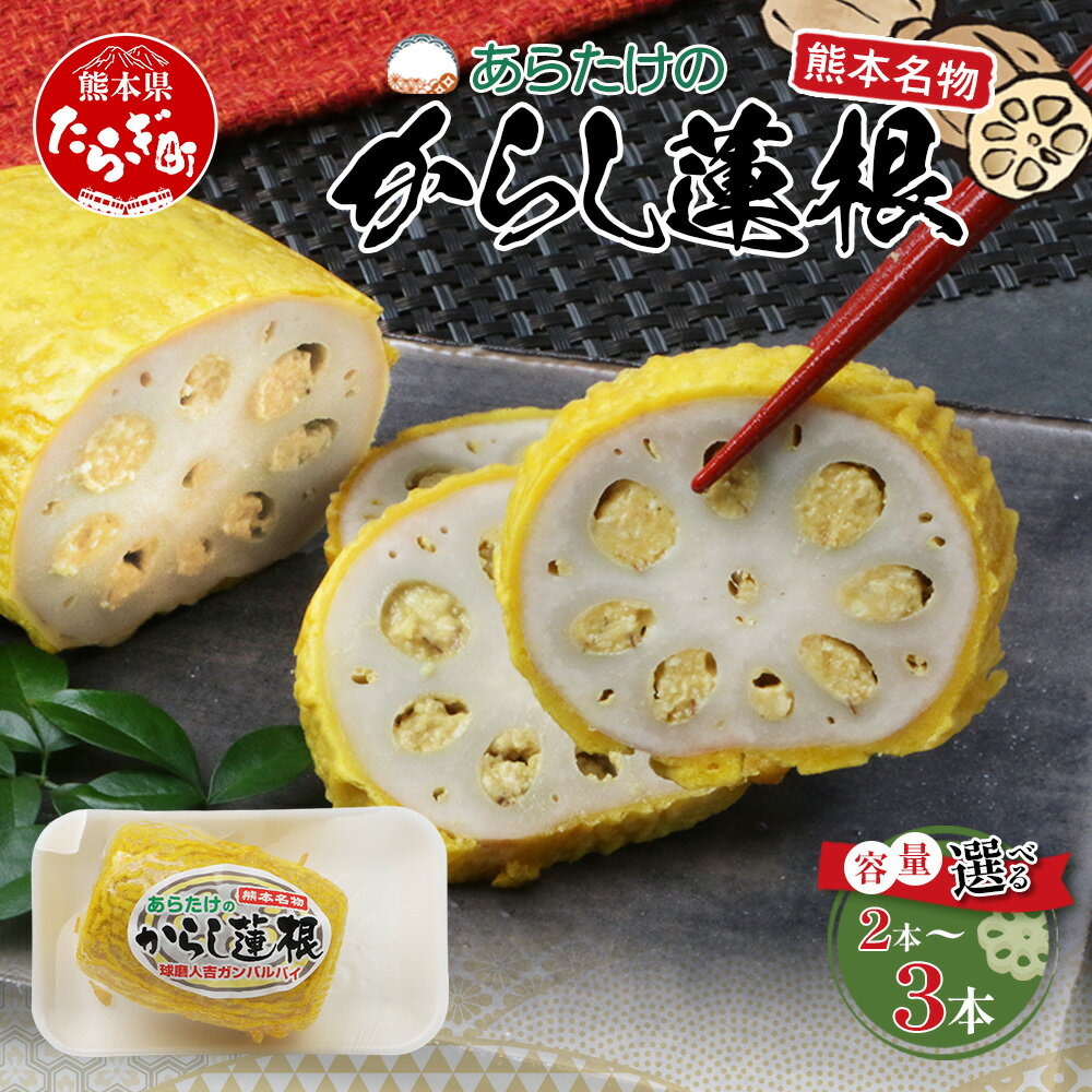 【ふるさと納税】熊本名物！あらたけの からし蓮根 2本 セット (200g×2) 辛子 レンコン れんこん 熊本 名産 名物 おつまみ 肴 本数選べる 老舗蒲鉾店 野菜 ピリ辛 練り物 熊本県 多良木町 球磨郡