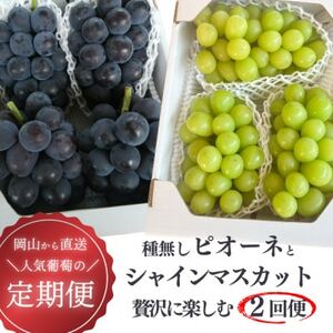 【発送月固定定期便】【きよとうファーム】ピオーネとシャインマスカットの2回便!(岡山県産)全2回【配送不可地域：離島】【4067502】