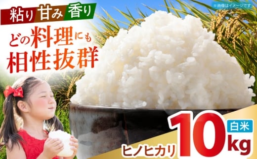 令和7年産 ヒノヒカリ 白米 10kg 【有限会社江北商会】 [HDK001] 精米 米 おこめ お米 こめ コメ 白米 10キロ