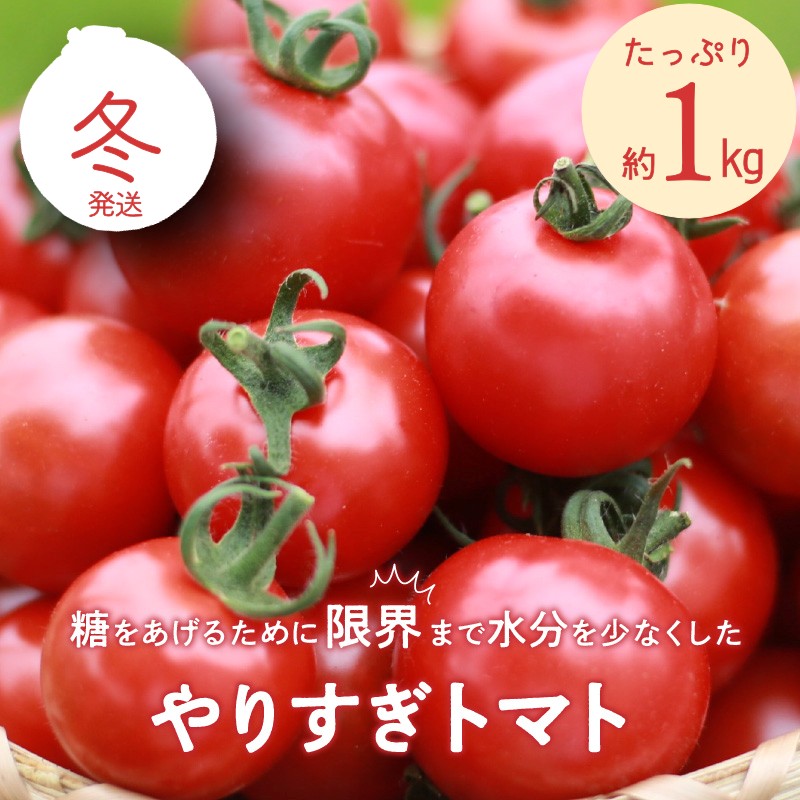 【ふるさと納税】高評価★5.0 高レビュー★ 【先行予約】やりすぎトマト（4パック計約1kg）（冬季）（2026年12月上旬以降発送） 国産 ミニトマト ミディトマト プチトマト お野菜 野菜 とまと 高糖度 甘い 濃縮 濃厚 トマトスープ 健康 リコピン おすすめ 人気