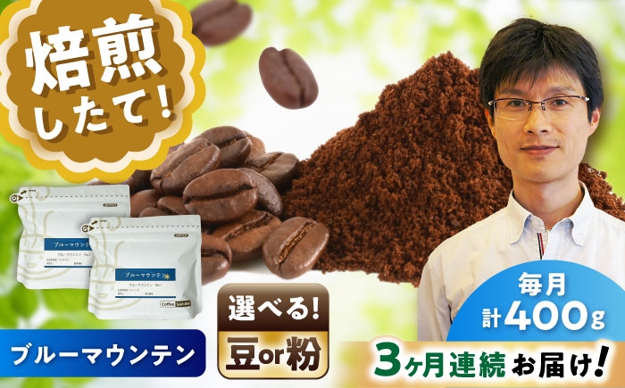 
            【全3回定期便】【選べる豆 or 粉】ブルーマウンテンNo.1　200g×2個 / 珈琲 コーヒー / 瀬戸市 / Ｃｏｆｆｅｅ　ＳＡＫＵＲＡ [BBAB087]
          