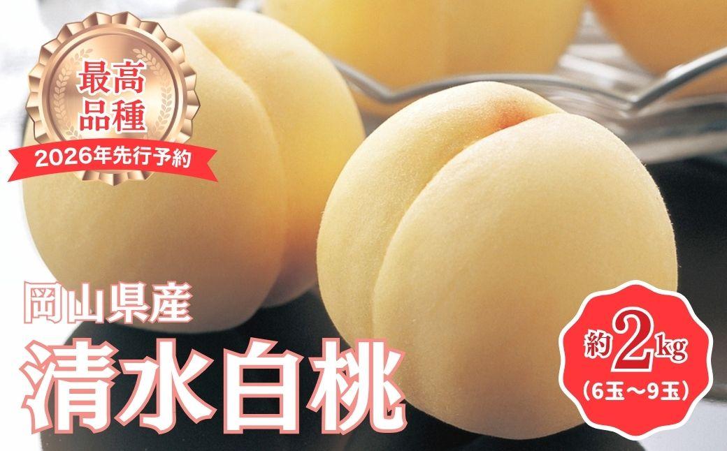【2026年先行予約】［拝郷果樹園］岡山県産 清水白桃 約2kg（6玉～9玉）|桃 もも モモ ピーチ 完熟 朝採り 新鮮 旬 食べごろ 食べ頃 岡山産 産地直送 産直 特産 特産品 送料無料 食べ比べ 岡山県 鏡野町