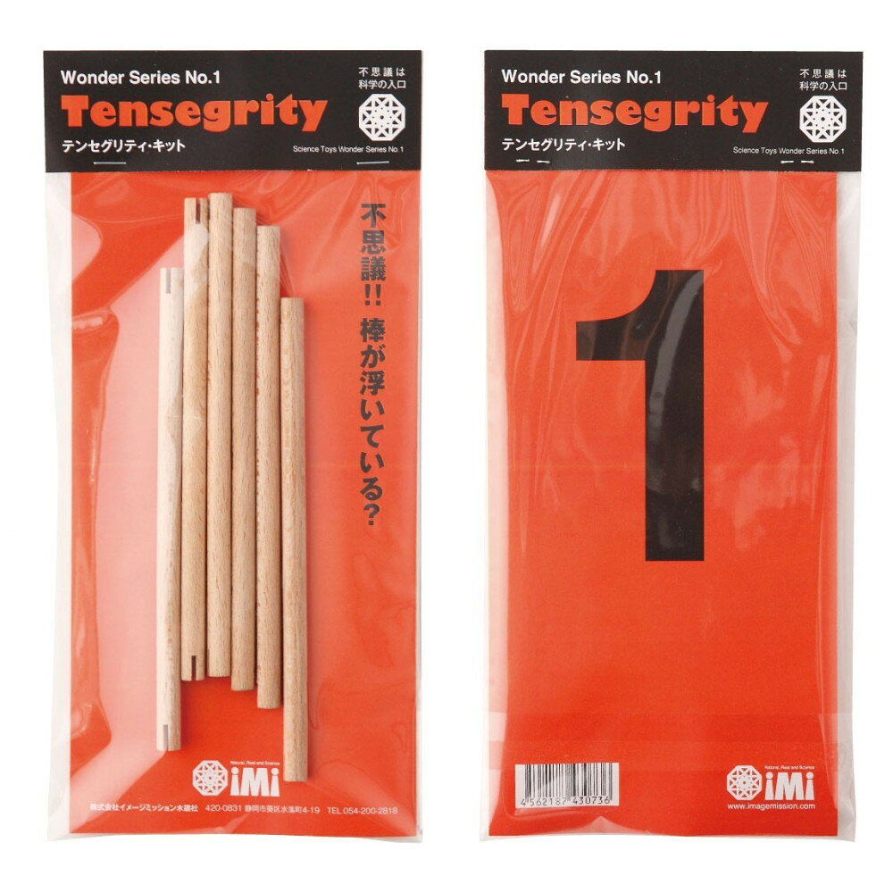 【ふるさと納税】テンセグリティキット | 玩具 おもちゃ パズル　玩具 雑貨 日用品 人気 おすすめ 送料無料