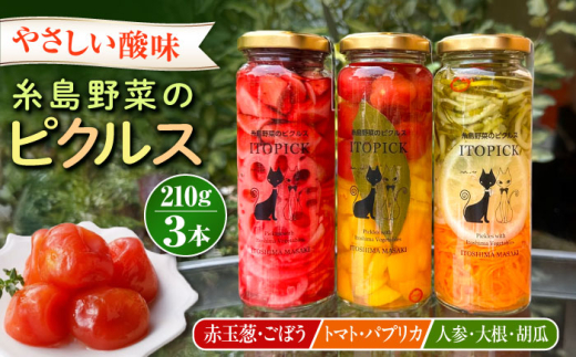 【ITOPICK】糸島野菜のピクルス3本セット 糸島市 / 糸島正キ [AQA098]