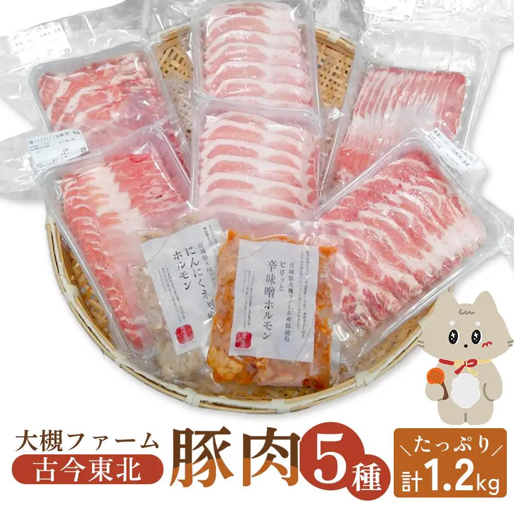 【古今東北】 丸森町大槻ファーム 豚肉5種類セット(計1.2kg）【3010101】
