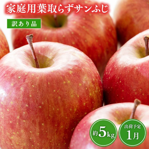 1月 葉取らずサンふじ 約5kg 訳あり 家庭用【青森県 平川市 森山商店 】 青森りんご 林檎 リンゴ サンふじ ふじ 葉とらず 訳あり 訳アリ 家庭用 平川市 青森県