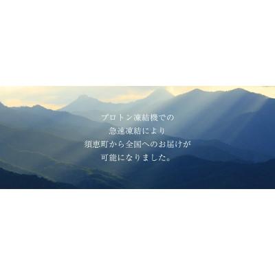 ふるさと納税 須恵町 清広の推薦2種!食べ比べセット!(さば寿司・鮭寿司)(須恵町) |  | 02