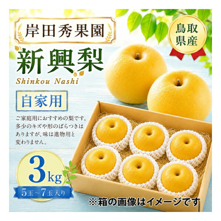 【ふるさと納税】 【予約受付中】 岸田秀果園 新興 梨 自家用 3kg やまのおかげ屋 鳥取県 米子市