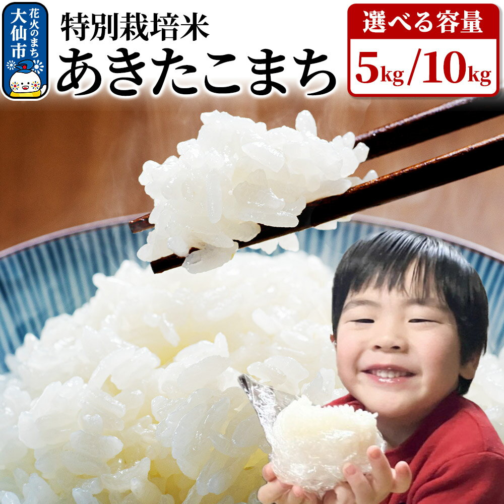 【ふるさと納税】米 令和7年産【特別栽培米】あきたこまち【精米】選べる容量【5kg／10kg】