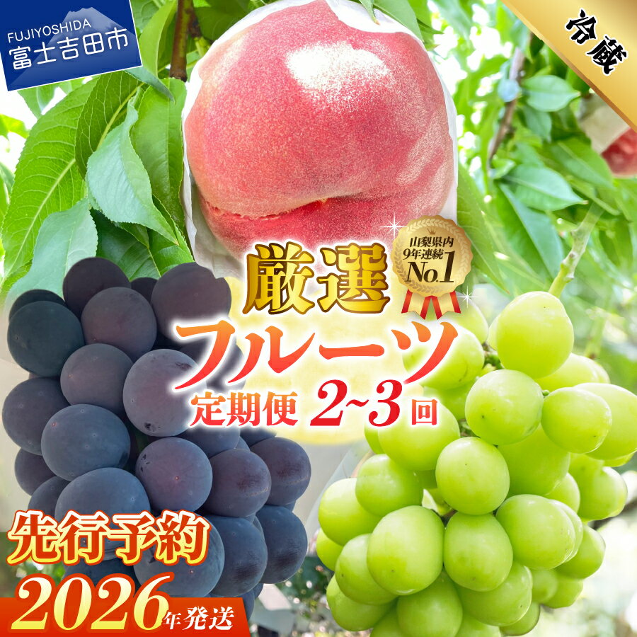 【ふるさと納税】 ふるさと納税 定期便 フルーツ 【2026年先行予約】 桃 シャインマスカット 黒ぶどう 選べる回数 2回 3回 白鳳 白桃 もも 大玉 ブドウ 1房 500g以上 果物 フルーツ 送料無料 数量限定 期間限定 【2026年7月中旬頃～10月中旬頃まで順次発送】 山梨 富士吉田市