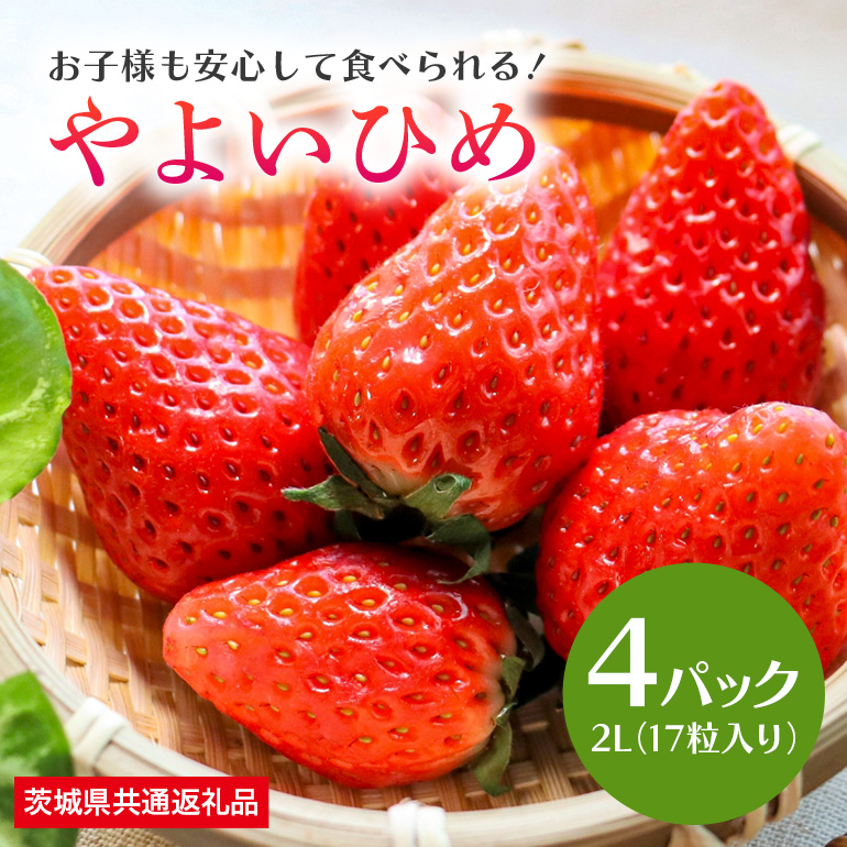 やよいひめ 2L（17粒入り）×4パック 1kg以上 ＜2026年1月中旬～3月上旬発送予定＞ （茨城県共通返礼品 石岡市） 71-A