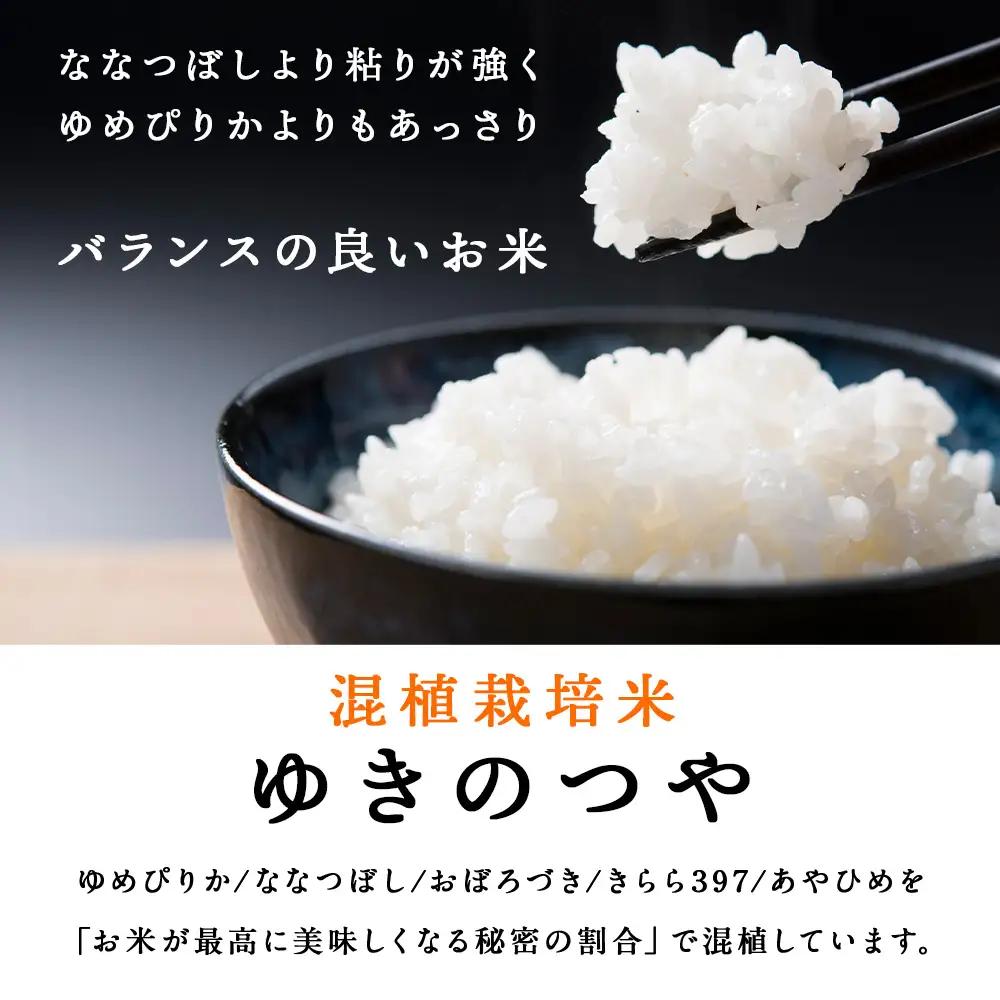 【定期便 3カ月】北斗米ゆきのつや10kg（5kg×2袋）