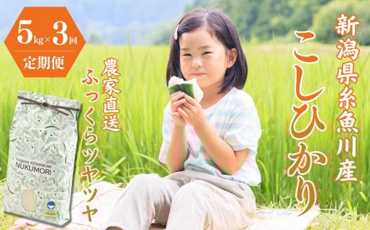 令和7年産新米【定期便】 新潟県産『コシヒカリ』5kg×3回 計15kg 毎月お届け 米・食味鑑定士お墨付き 農家自慢の逸品 NUKUMORI 特別栽培米 減農薬 糸魚川市 白米 2025年産 農家直送 百姓や伝六【こしひかり お米 コメ ご飯 ライス ふるさと納税米 ブランド米 人気 おすすめ 5キロ 新潟県 3か月 3ヶ月】