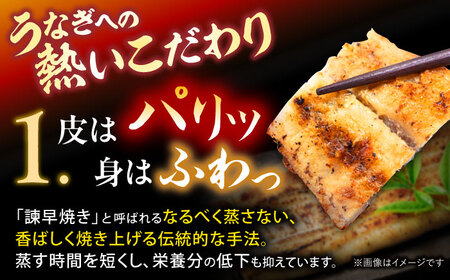 【6回定期便】【諫早淡水】うなぎ白焼き10尾  / うなぎ 白焼き 栄養価 小分け 冷凍 / 諫早市 / 諫早淡水 [AHAT043]