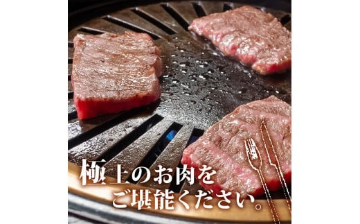 【定期4回】土佐黒毛和牛モモ肉焼肉用 計3.2kg【800g×4ヶ月連続お届け】