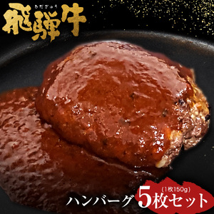 飛騨牛 ハンバーグ 5枚セット（1枚150g）個数300個限定で ウインナー コロッケ 5個付き1個当たり60g | 肉のかた山 M16S29