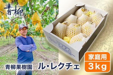 【2026年先行予約】新潟特産 幻の洋梨ル・レクチェ 家庭用 3kg（7～9玉）《11月下旬～順次発送》 青柳果樹園
