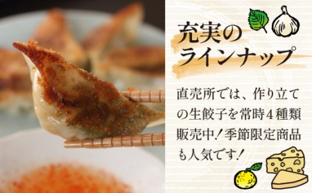 国産 冷凍 生餃子 食べ比べ 5種 計64個 タレ付き 【生餃子専門店ぽんぽこ】 ぎょうざ 餃子 ギョーザ ギョウザ 惣菜 総菜 おかず 弁当 冷凍餃子 冷凍食品 冷食 自宅用 家庭用 仕送り お取り