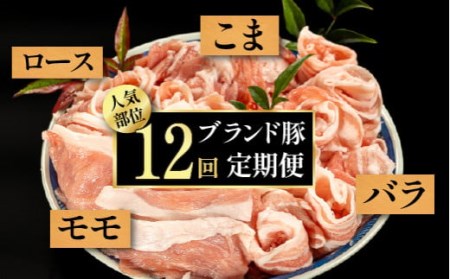 【2025年1月から毎月お届け】ブランド豚★得特盛り★1.2kg×12回定期便  頒布会 国産 ぶた肉 豚肉 肉 お肉 国産豚肉 国産ぶた肉／Rgbn-A01