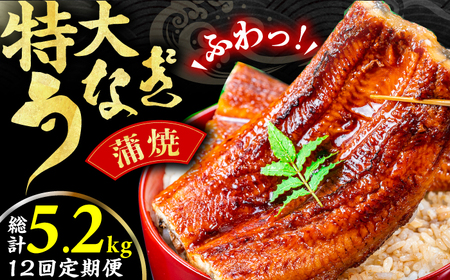 【12回定期便】特大蒲焼（220g×2尾）魚 うなぎ ウナギ 土用の丑の日 鰻 かば焼き 蒲焼き 広川町 / イールファクトリー株式会社[AFBS008]