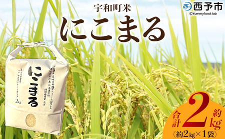 ＜令和7年産 西予市宇和町産 にこまる 約2kg＞ お米 コメ 白米 精米 単一原料米 ご飯 晩稲 大粒 精米 ご飯 ライス 穀物 ニコマル 特産品 愛媛県産 西予市産 宇和町産 三好フク 愛媛県 西予市【常温】『2025年10月中旬より順次出荷予定』UMH0013