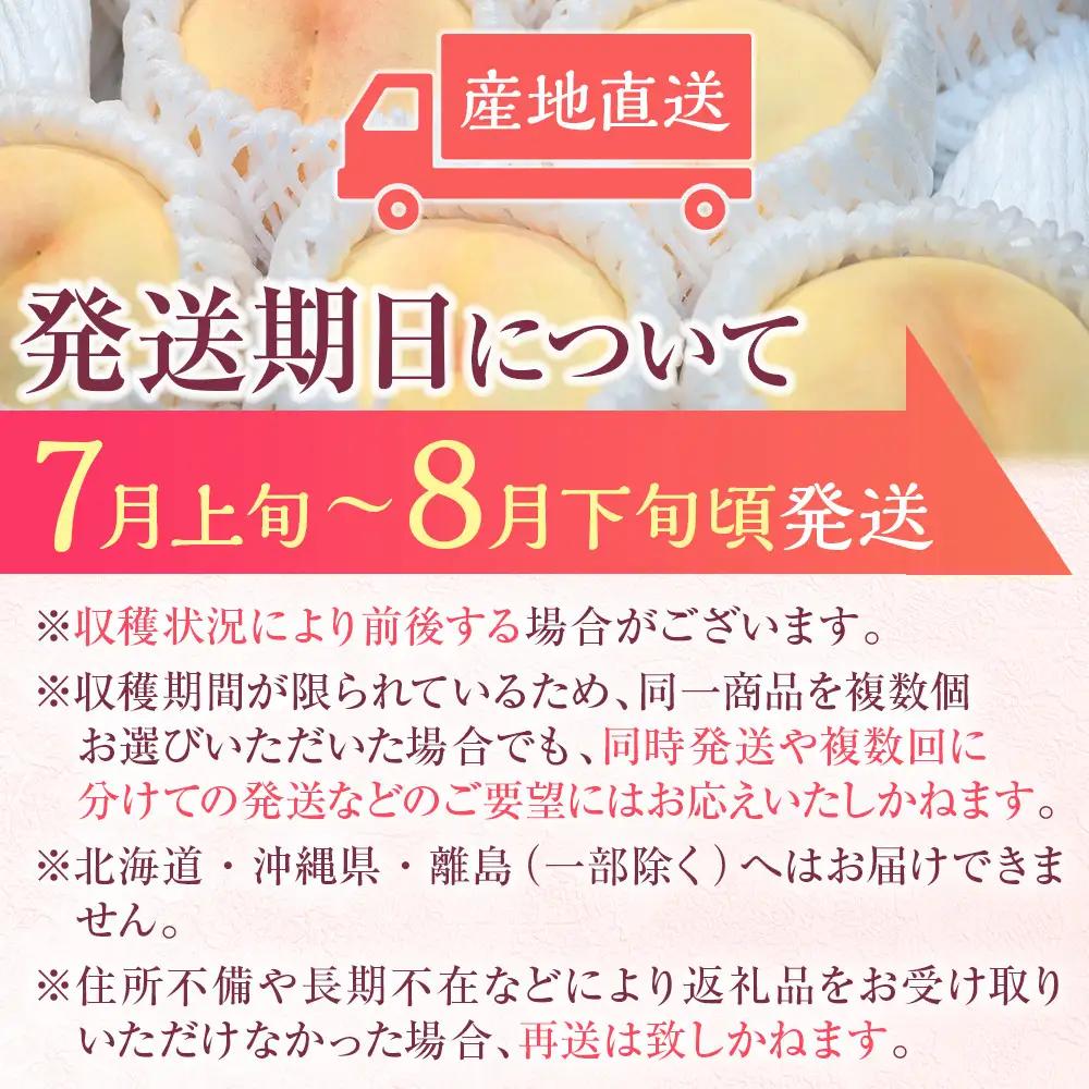 2026年 先行予約 岡山県産   白 桃   ロイヤル 約2kg（5～10玉）｜ 桃　