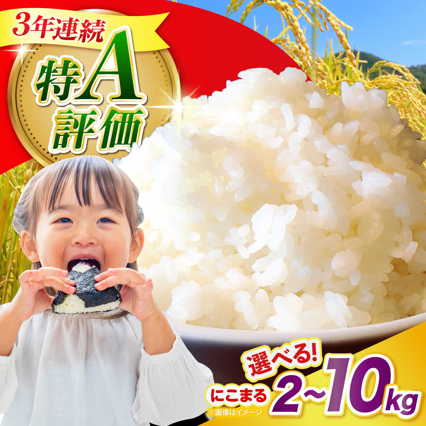 【ふるさと納税】【7営業日以内に出荷】＜選べる内容量＞★3年連続特A獲得★ 長崎県産 精米 にこまる 2kg 4kg 5kg 9kg 10kg / 米 お米 こめ コメ 精米 / 南島原市 / 大松屋商店 [SDR013]