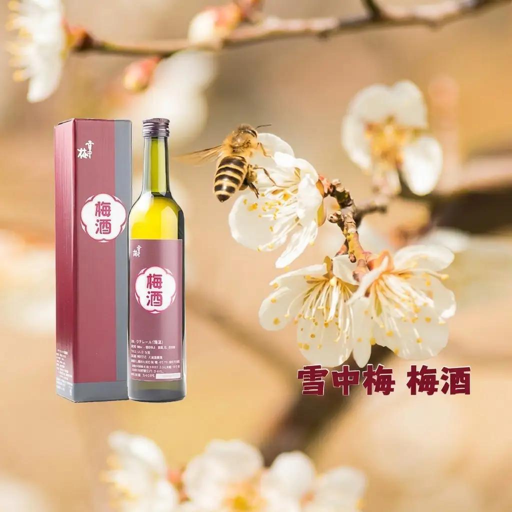 雪中梅 梅酒 500ml 化粧箱入｜酒 お酒 贈答 プレゼント 贈り物 おすすめ ふるさと納税 人気 新潟 新潟県産 にいがた 上越 上越産