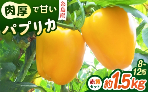 【先行受付】糸島産 肉厚 パプリカ 約1.5kg(8-12個)  【2026年11月以降順次発送】福岡県  糸島市 / シーブ [AHC031] 野菜 ピーマン