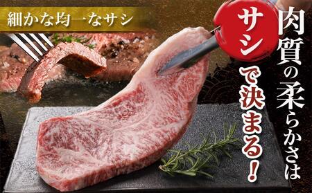 【父の日】宮崎牛サーロインステーキ(200g×2枚)≪6月12日～15日お届け≫_AC-N401-FG_(都城市) ステーキ 牛肉 宮崎牛 和牛 国産 サーロイン 400g 贈答用 ギフト 父の日ギフ