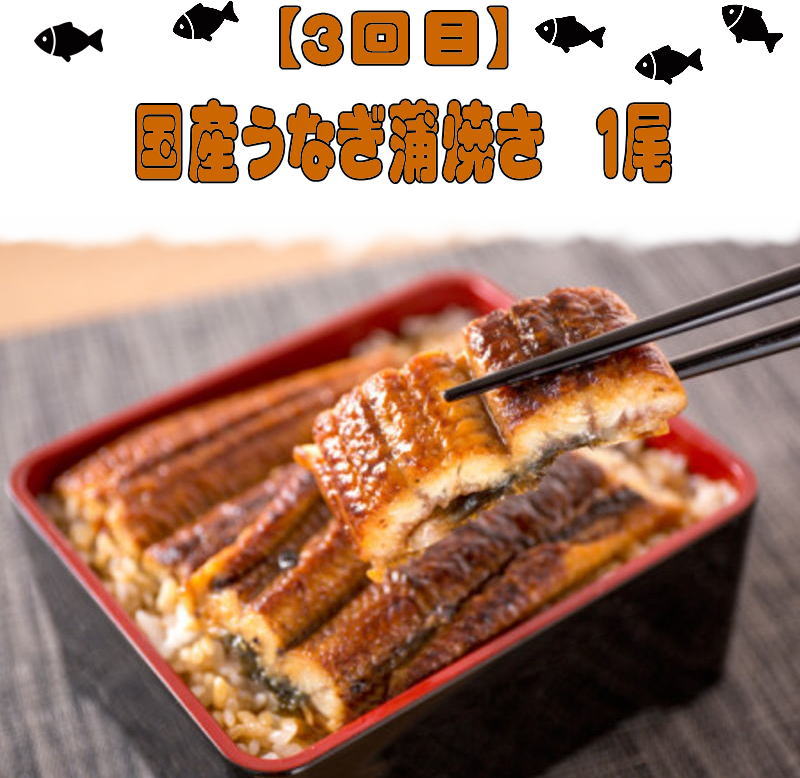 【全3回】魚鶴厳選！人気のお魚集合定期便（さば・銀鮭・うなぎ）【tkb307】