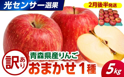 【2027年2月後半発送】 【訳あり】 りんご 約5kg 品種おまかせ1種 ≪光センサー選果保証≫  青森県産