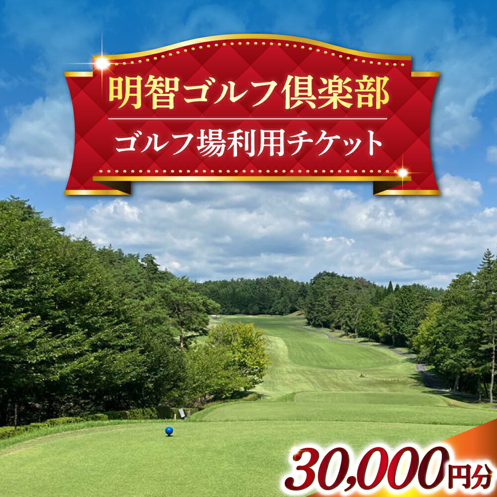 【ふるさと納税】明智ゴルフ場利用券【30,000円分】 / ゴルフ ゴルフ場 GOLF チケット 体験 利用券 利用料 ゴルフ ゴルフ場 GOLF チケット 体験 利用券 利用料お取り寄せ/恵那市/明智ゴルフ倶楽部[AUDE009]