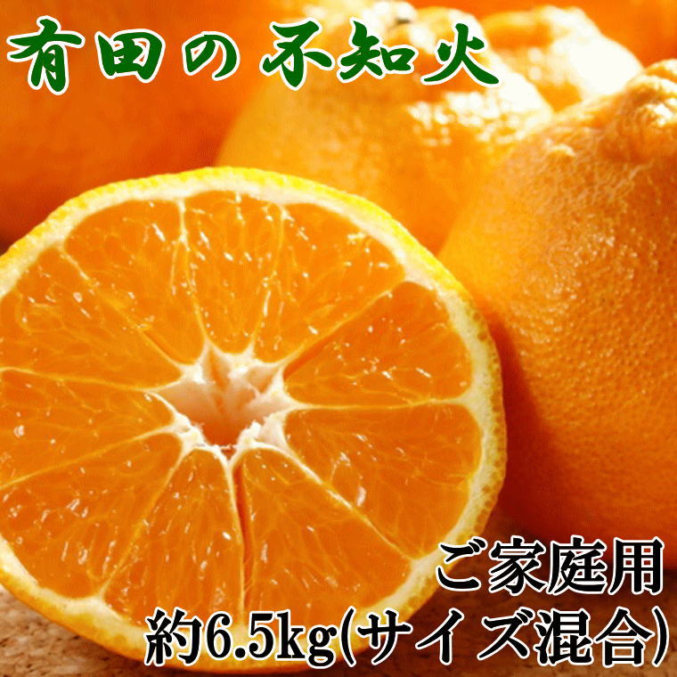 【ふるさと納税】 【濃厚】有田の不知火約6.5kgご家庭用向け（サイズ混合）＜2026年2月中旬～2026年3月中旬頃に順次発送＞（お届け日指定不可）