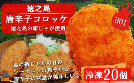 《マツコの知らない世界で紹介》 【2026年4月以降配送】徳之島のホクホク新じゃが＋唐辛子！徳之島の唐辛子コロッケ20個）（ じゃがいも 新じゃが 唐辛子 ヤマシークニン おかず お弁当 おつまみ 美味しい 簡単 料理 徳之島 奄美 鹿児島 冷凍食品 人気 オススメ 辛い ）