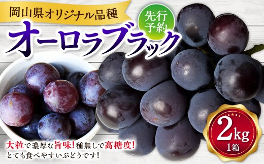 オーロラブラック 2kg ぶどう 葡萄 フルーツ 果物 岡山県 岡山県産 2027年 先行予約 【2027年7月下旬-8月下旬発送予定】