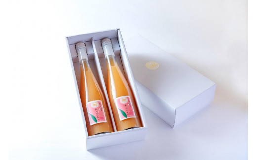 
あら川の桃　60%果汁入りドリンク５００ml×２本入り　ギフトセット
