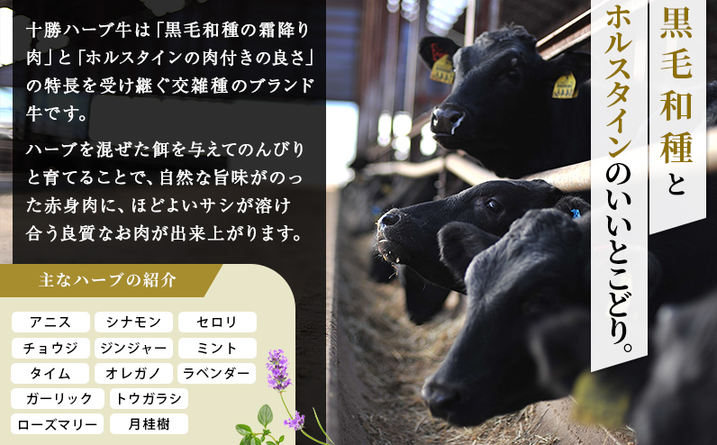 十勝ハーブ牛 サーロインとモモのステーキセット 計700g 北海道産 牛肉 赤身 国産 サーロイン モモ肉 旨味を逃さないスキンパック包装 キャンプ アウトドア バーベキュー BBQ