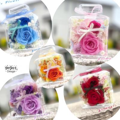 ふるさと納税 新宮町 ボトルフラワー(5色から1つ選択).AC299