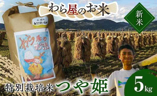 
            【令和7年産 新米 先行予約】 【わら屋のお米】 特別栽培米 つや姫 5kg 《令和7年10月下旬～発送》 『おがわ藁農園』 米 白米 精米 ご飯 農家直送 山形県 南陽市  [2167-R7]
          