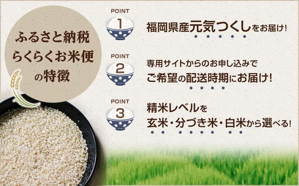 【特A評価獲得！福岡県産元気つくしをお届け】ふるさと納税 らくらくお米便 60kgコース