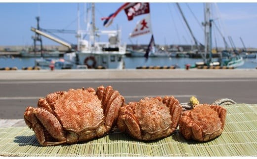 北海道雄武町産メガサイズ！毛ガニ(冷凍)1kg前後×1尾